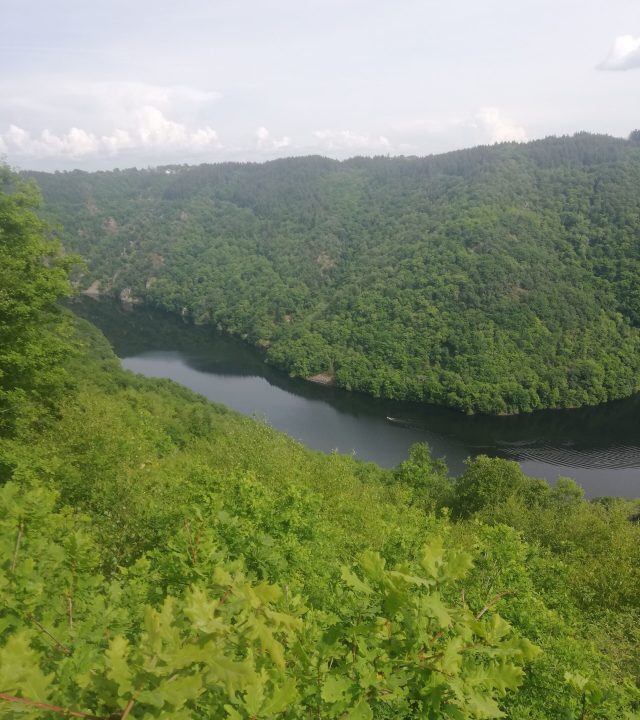 Photo d'un fleuve entouré d'arbre