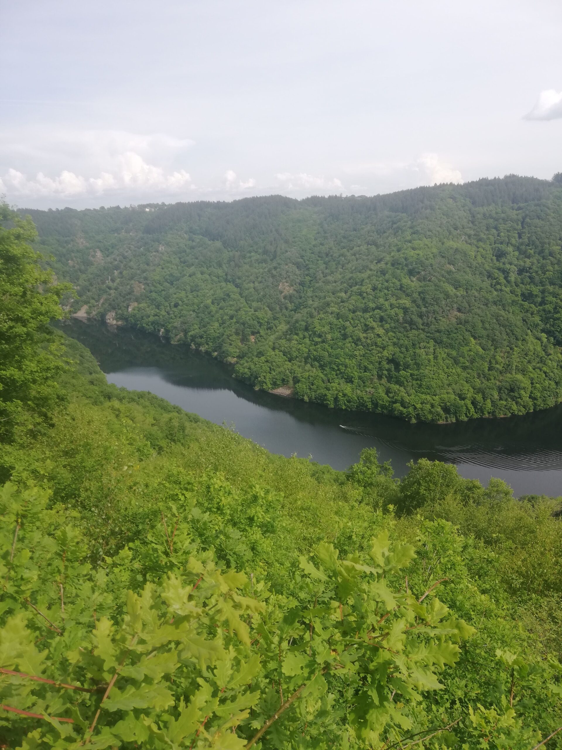 Photo d'un fleuve entouré d'arbre